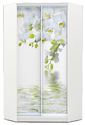 Шкаф-купе 2200х1103, ХИТ У-22-4-77-05, Белая орхидея, белая во Владивостоке - изображение
