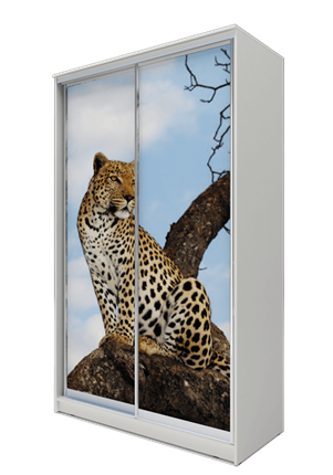 Шкаф 2-х дверный 2200х1682х420, Леопард ХИТ 22-4-17-77-04 Белая шагрень во Владивостоке - изображение