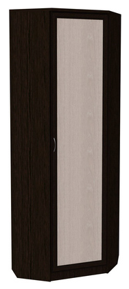 Шкаф 402 угловой со штангой, цвет Венге в Находке - изображение