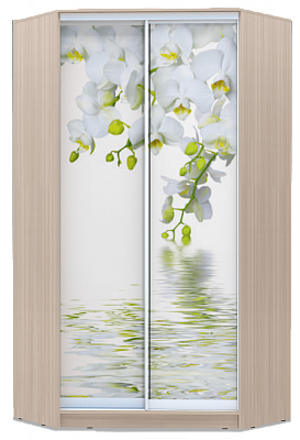 Угловой шкаф 2300х1103, ХИТ У-23-4-77-05, Белая орхидея, шимо светлый во Владивостоке - изображение