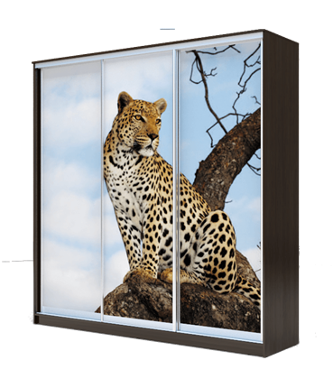 Шкаф 2200х2000х420, Леопард ХИТ 22-4-20-777-04 Венге Аруба во Владивостоке - изображение