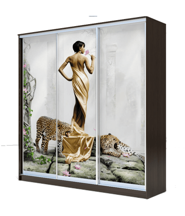 Шкаф 3-х дверный 2400х2000х620, наполнение №1, Девушка с леопардом ХИТ 24-20-777-03 Венге Аруба во Владивостоке - изображение