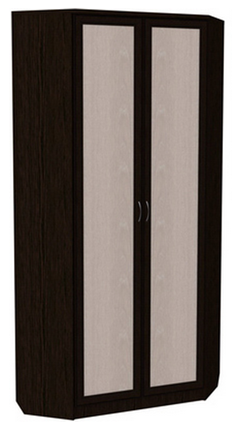 Шкаф 401 угловой со штангой, цвет Венге в Артеме - изображение