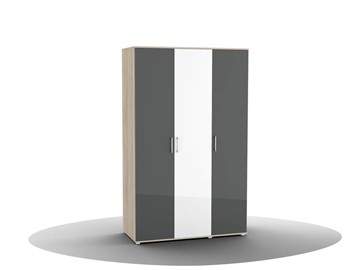 Шкаф для одежды Silvia, ШО-03 (2г/1зр), цвет фасада антрацит в Артеме