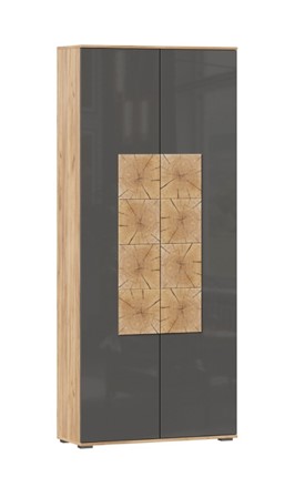 Шкаф двухстворчатый Фиджи с декоративными накладками 659.310, Дуб Золотой/Антрацит в Артеме - изображение