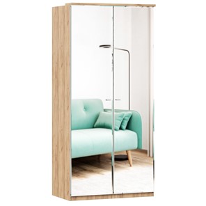 Шкаф двухстворчатый с 2-мя зеркалами Фиджи, 659.238, цвет белый в Артеме - предосмотр