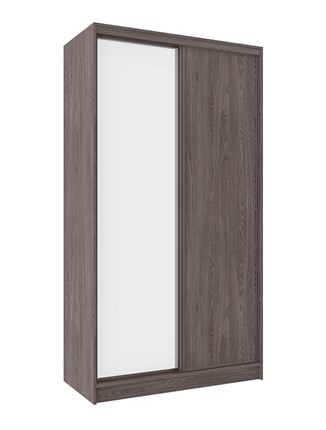 Шкаф 2-х дверный 1200 Домашний Зеркало/ЛДСП, Ясень Анкор темный во Владивостоке - изображение