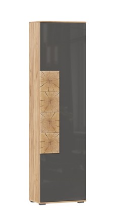 Шкаф одностворчатый Фиджи с декоративными накладками 659.300, Дуб Золотой/Антрацит в Находке - изображение