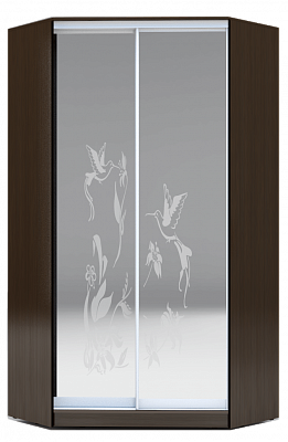 Шкаф 2300х1103, ХИТ У-23-4-66-03, колибри, 2 зеркала, венге аруба во Владивостоке - изображение