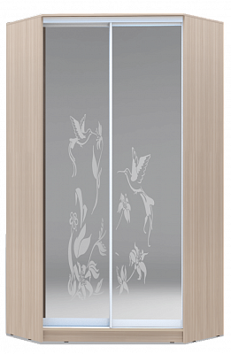Шкаф 2200х1103, ХИТ У-22-4-66-03, колибри, 2 зеркала, шимо светлый во Владивостоке - изображение