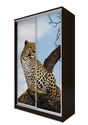 Шкаф 2400х1200х620, Леопард ХИТ 24-12-77-04 Венге Аруба во Владивостоке - изображение