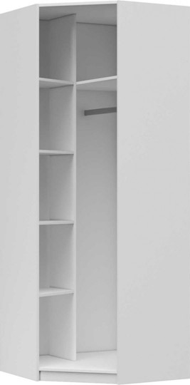 Распашной угловой шкаф Вива с зеркалом, Белый глянец / Платина во Владивостоке - изображение 1