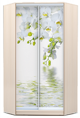 Шкаф 2300х1103, ХИТ У-23-4-77-05, Белая орхидея, дуб млечный во Владивостоке - изображение