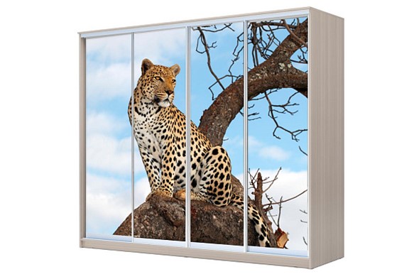 Шкаф 4-х дверный ХИТ 23-24/2-7777, Леопард, Ясень шимо светлый во Владивостоке - изображение