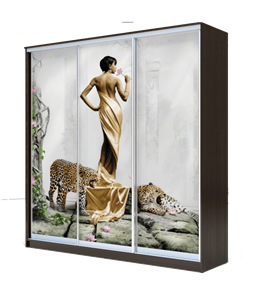Шкаф 3-х дверный 2200х2000х620, Девушка с леопардом ХИТ 22-20-777-03 Венге Аруба во Владивостоке