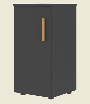 Шкаф колонна низкий с глухой левой дверью FORTA Черный Графит FLC 40.1 (L) (399х404х801) в Артеме - изображение
