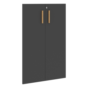 Двери для шкафов средние с замком FORTA Черный Графит FMD 40-2(Z) (794х18х1164) во Владивостоке