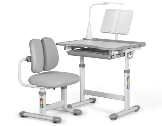 Комплект из растущего стола и кресла Mealux EVO BD-23 Grey в Уссурийске - изображение