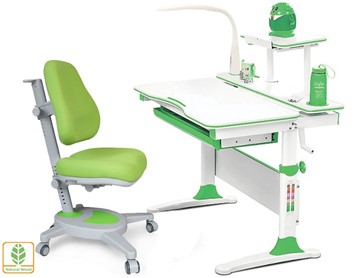 Растущая парта + стул Комплект Mealux EVO Evo-30 Z (арт. Evo-30 Z + Y-110 KZ), серый, зеленый в Находке