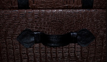 Пуф-сундук "Аллигатор" коричневый, иск. кожа во Владивостоке - предосмотр 4