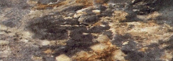 Кухонная столешница 100*60 см Королевский опал темный в Артеме - изображение